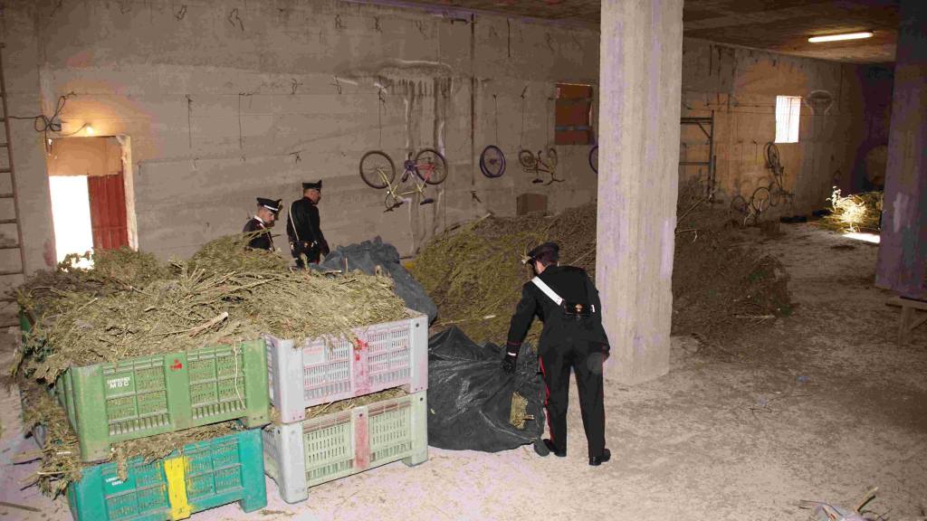 Fabbrica di droga scoperta a Tursi dai carabinieri