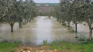 Alluvione Basilicata: Confagricoltura Basilicata chiede l’intervento del Governo