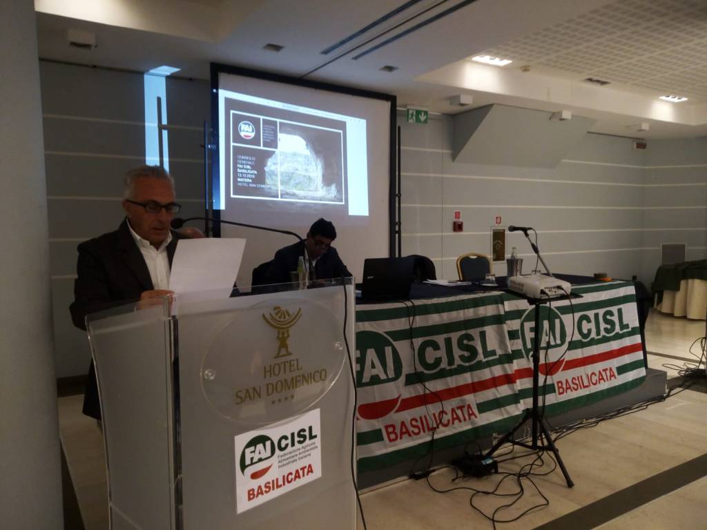 Forestazione, Fai Cisl: “Fondamentale per prevenire dissesto idrogeologico”