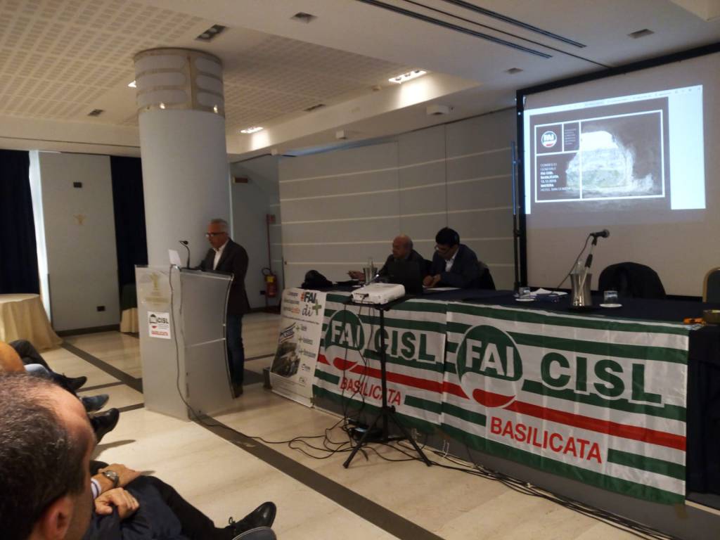 Forestazione, Fai Cisl: “Fondamentale per prevenire dissesto idrogeologico”