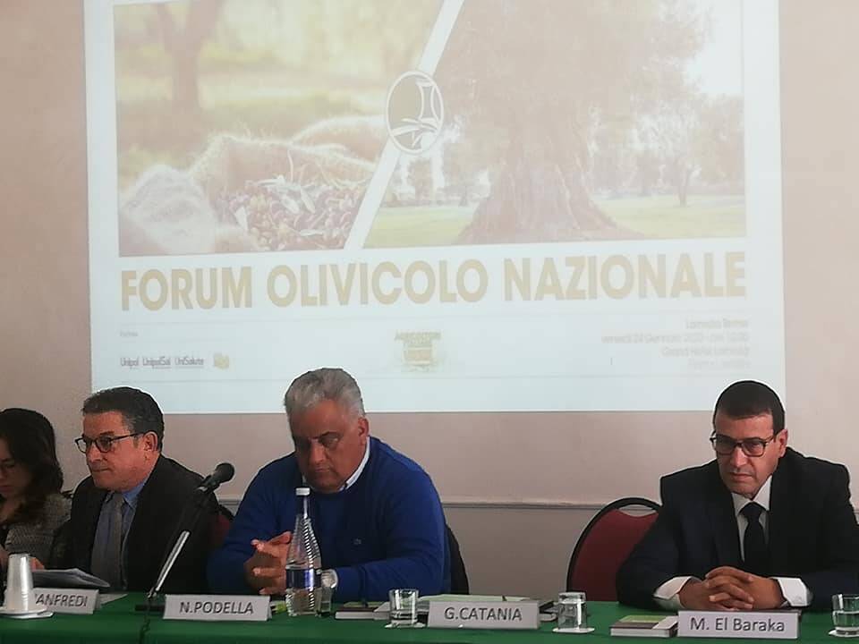 Forum Olivicolo Lamezia Terme