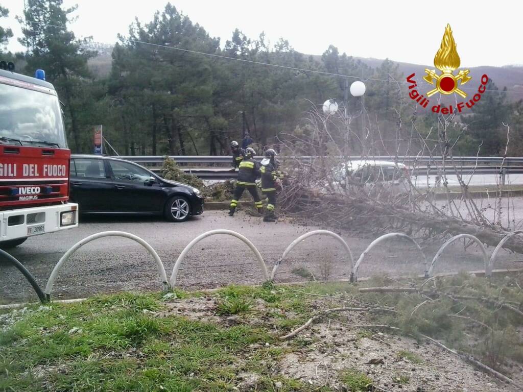 Tragedia sfiorata a Vietri di Potenza: albero cade su auto a causa del forte vento