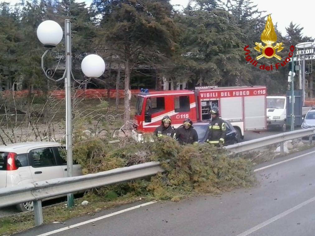 Tragedia sfiorata a Vietri di Potenza: albero cade su auto a causa del forte vento