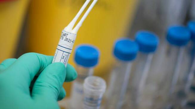 Coronavirus Basilicata: 13 nuovi casi positivi, focolaio a Melfi