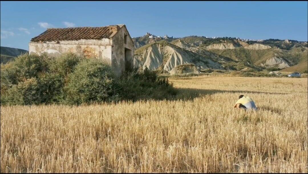 La Basilicata tra realtà, incanto e magia: al via residenza cinematografica