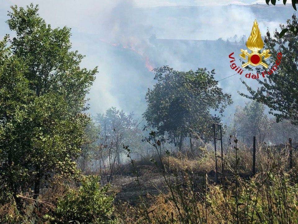 Incendio bosco a Tito, Vigili del Fuoco domano le fiamme
