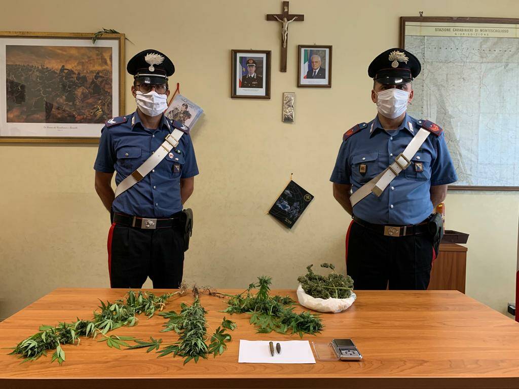 Montescaglioso, carabinieri arrestano 22enne sorpreso a coltivare marijuana
