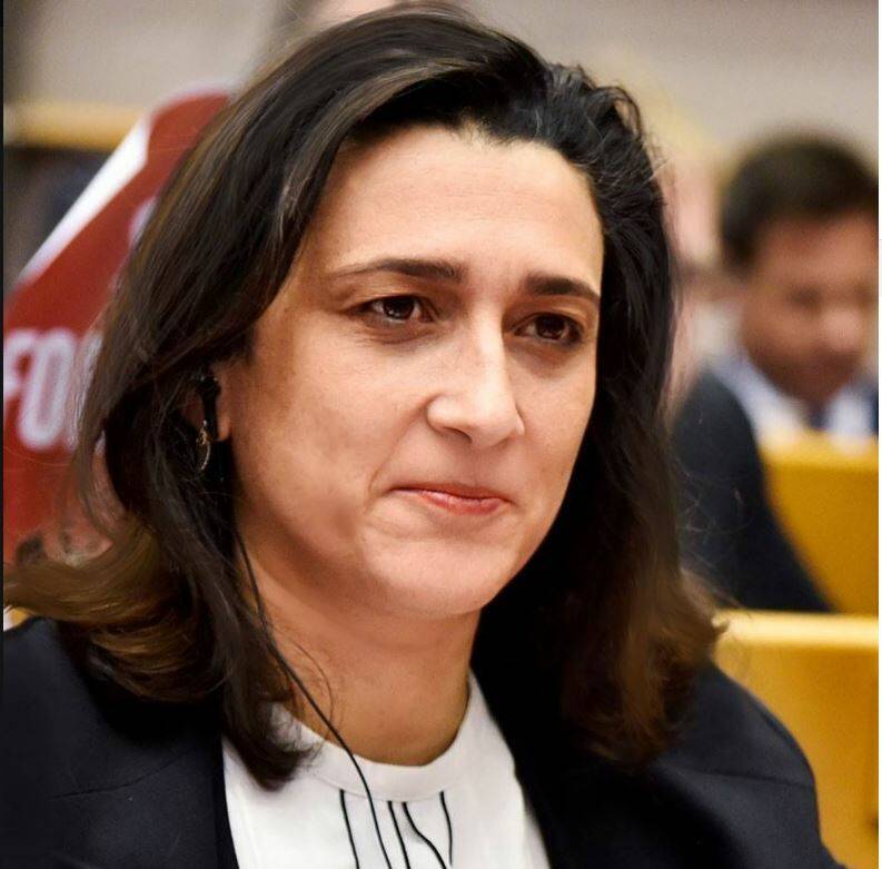 Eolico, Basilicata. La parlamentare europea del M5S, Rosa D’Amato, chiede chiarimenti sull’impianto di Monte Caruso-Toppe di Atella