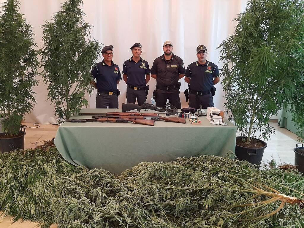 Nasconde armi e piante di cannabis nelle campagne di Policoro, arrestato 60enne