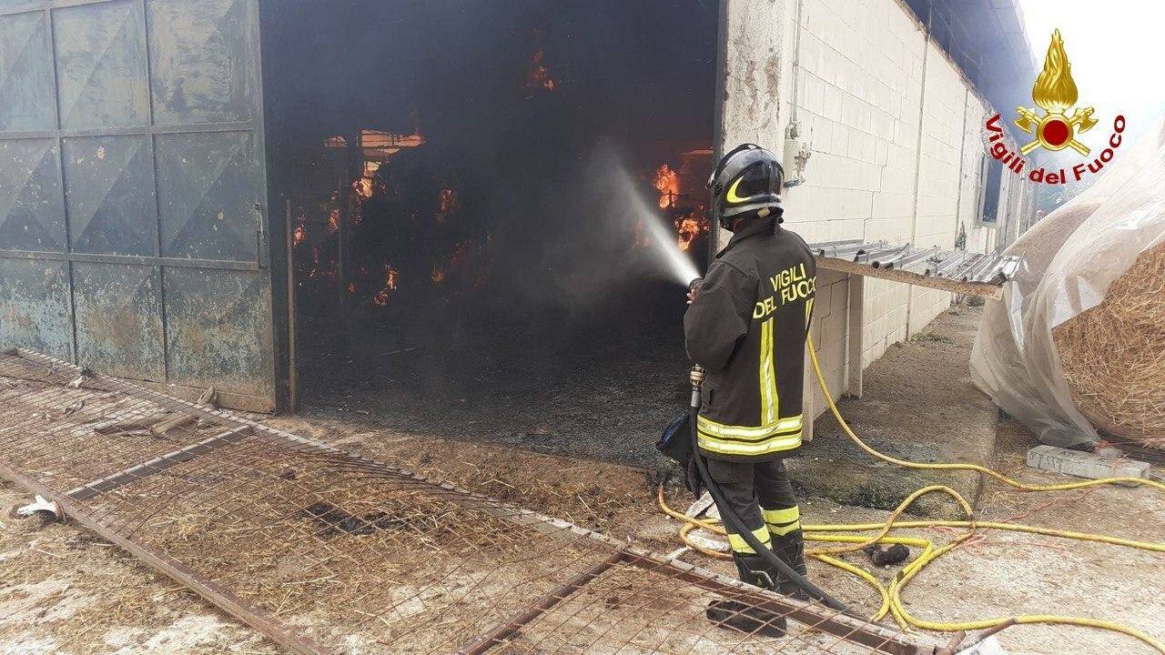 Venosa, in fiamme capannoni: intervento dei vigili del fuoco