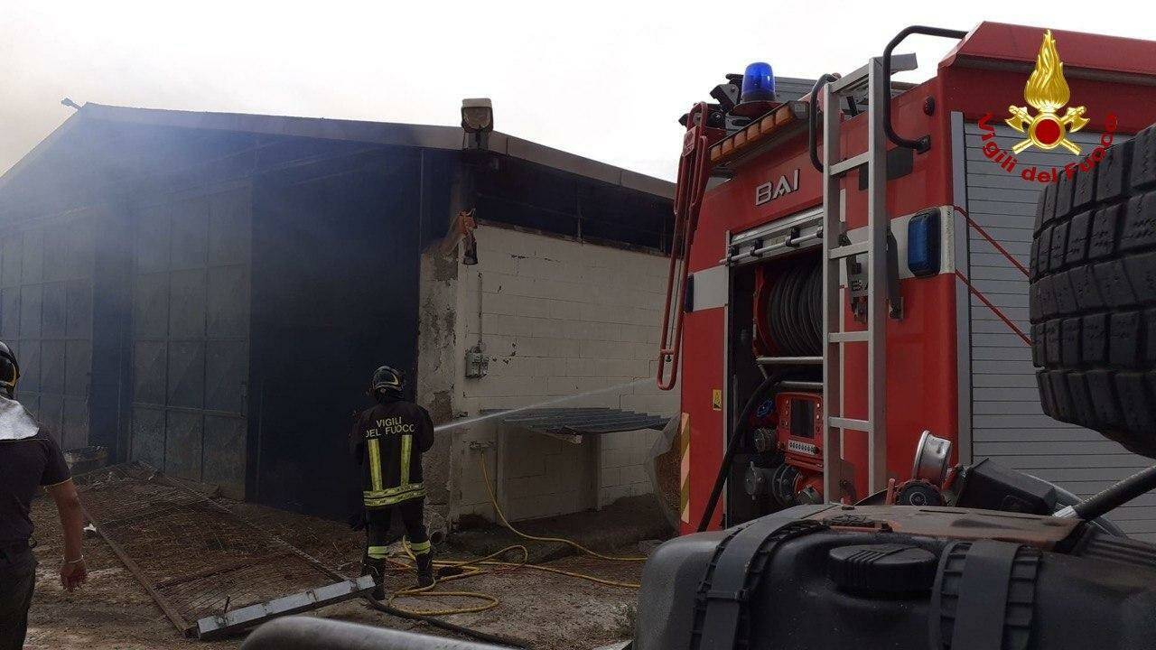 Venosa, in fiamme capannoni: intervento dei vigili del fuoco