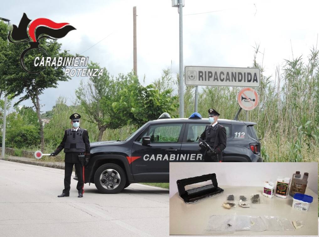 Nasconde droga nello scarico del water, 23enne arrestato a Ripacandida