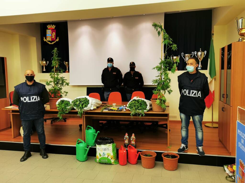 Scoperta piantagione di marijuana: due arresti a Metaponto, uno è un militare