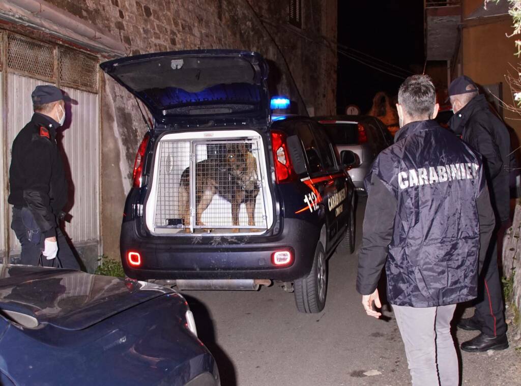 Narcotraffico sull’asse Albania-Metapontino: Dda sgomina associazione, 18 arresti