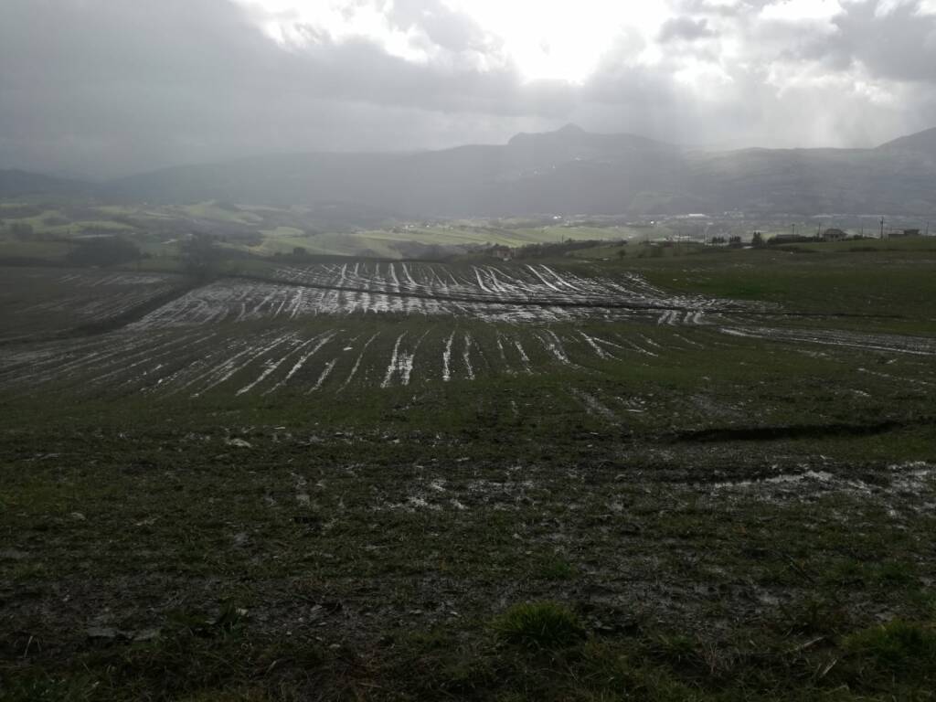 Aziende agricole danneggiate da piogge torrenziali degli ultimi giorni