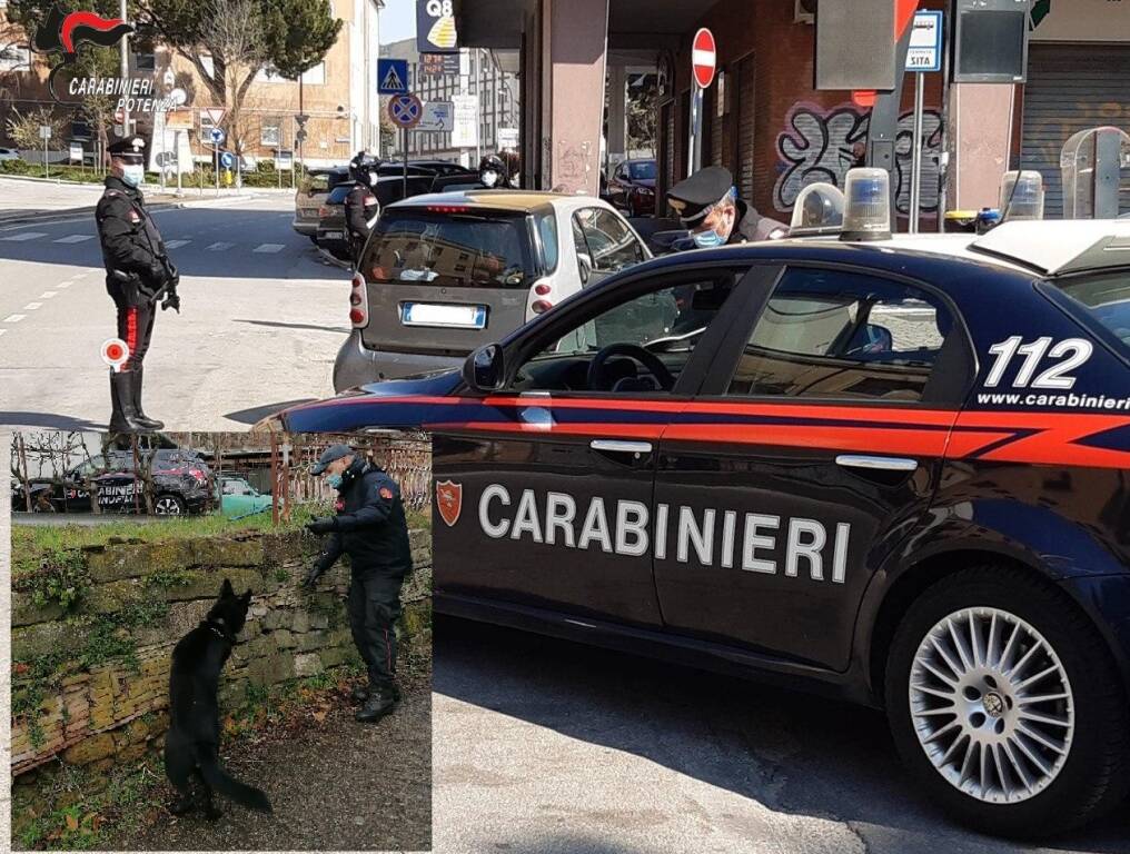 Cane antidroga carabinieri