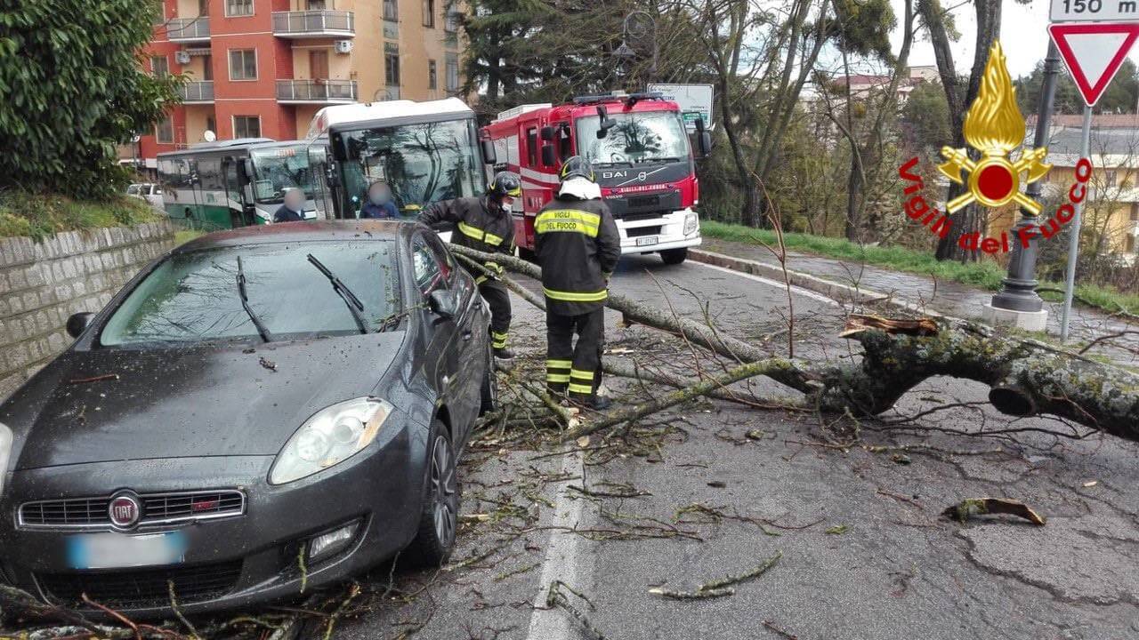 Maltempo, albero cade su auto in transito: tragedia sfiorata a Potenza