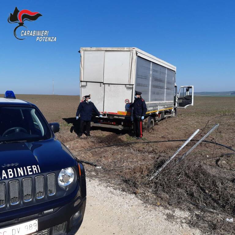 Banzi, furto in azienda agricola sventato dai Carabinieri: recuperati un autocarro rubato e 12.000 litri di gasolio