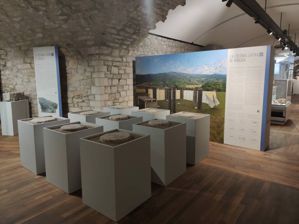 Venosa, nuovo allestimento per il Museo Archeologico dedicato a Mario Torelli