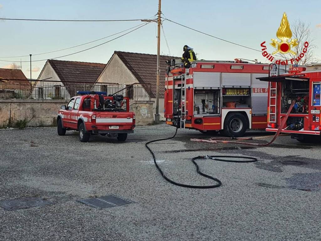 Cane cade in un dirupo, tratto in salvo dai vigili del fuoco a Castronuovo Sant’Andrea