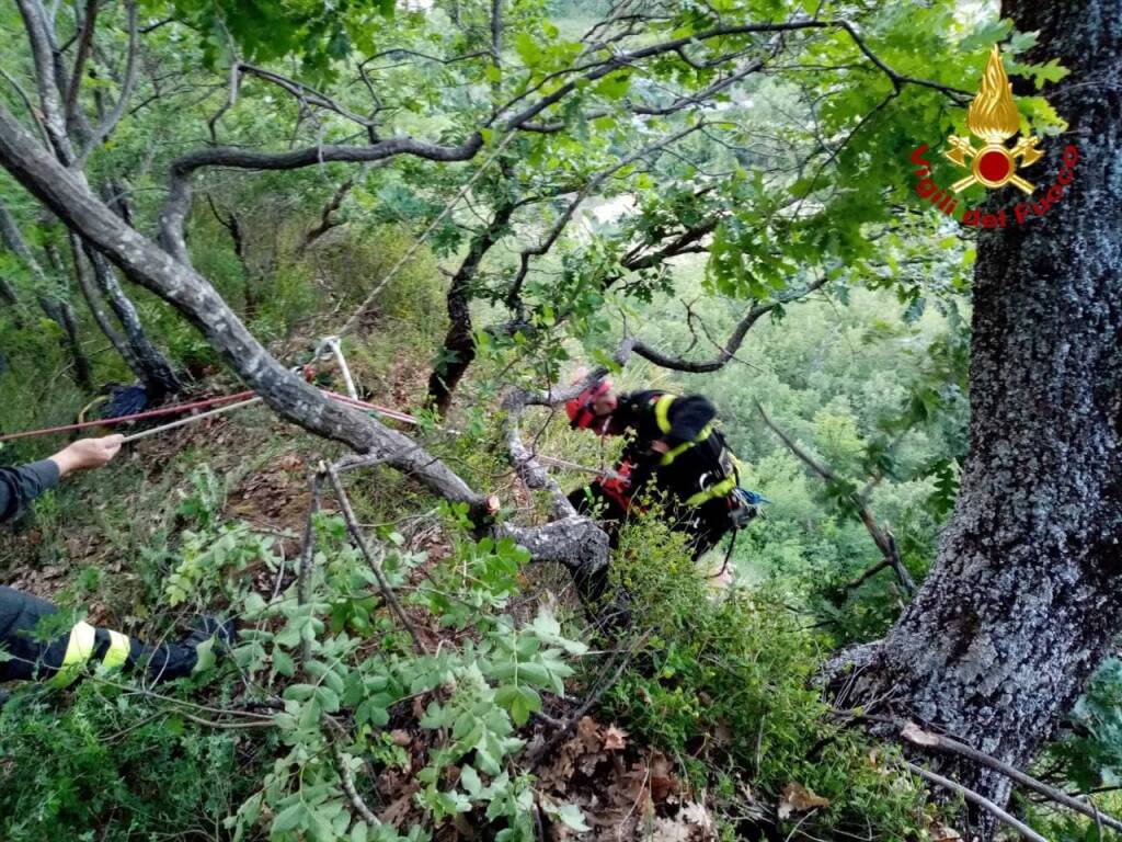 Cane cade in un dirupo, tratto in salvo dai vigili del fuoco a Castronuovo Sant’Andrea