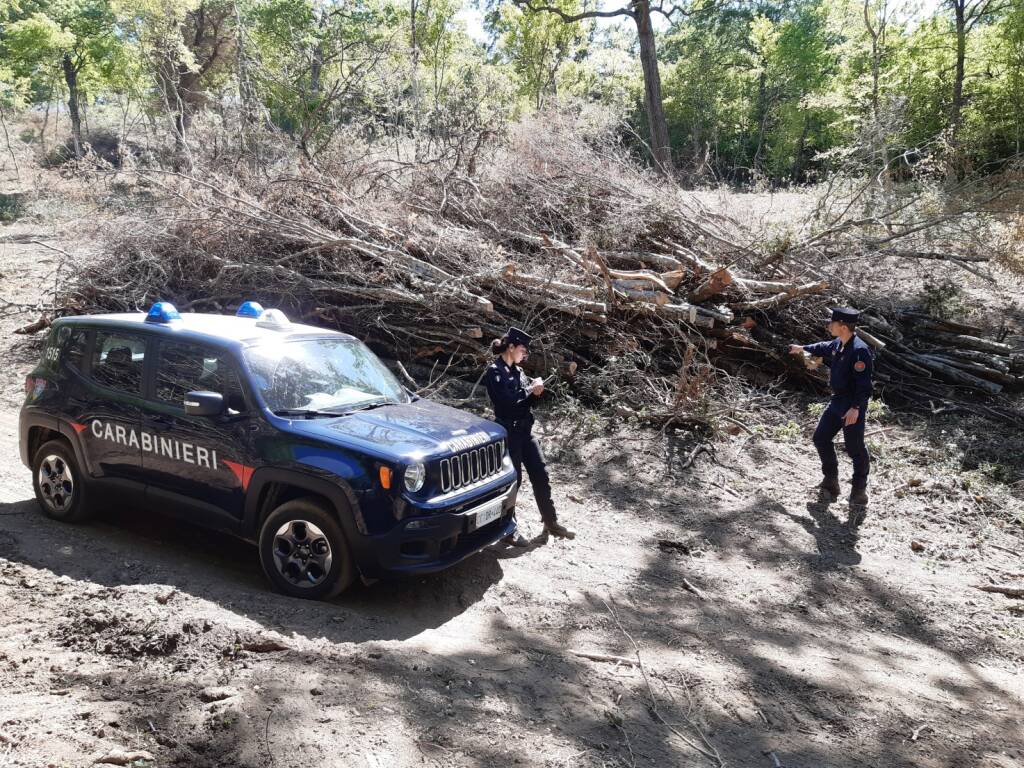 Carabinieri Aliano bosco