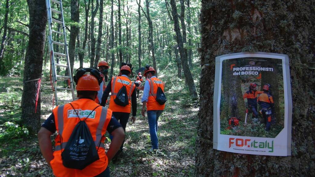 Forestazione, siglato oggi il rinnovo del contratto integrativo regionale