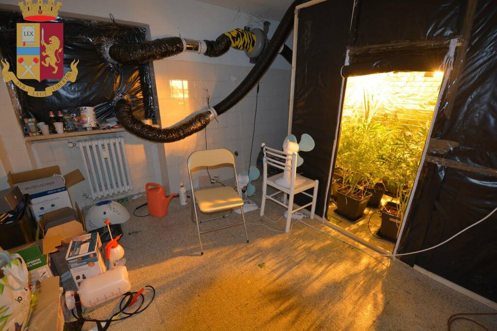 Coltiva marijuana in appartamento vicino alla Questura, 25enne arrestato a Potenza