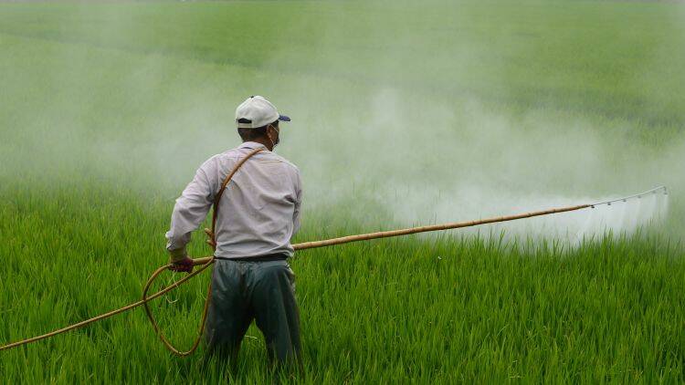 Pesticidi nei campi