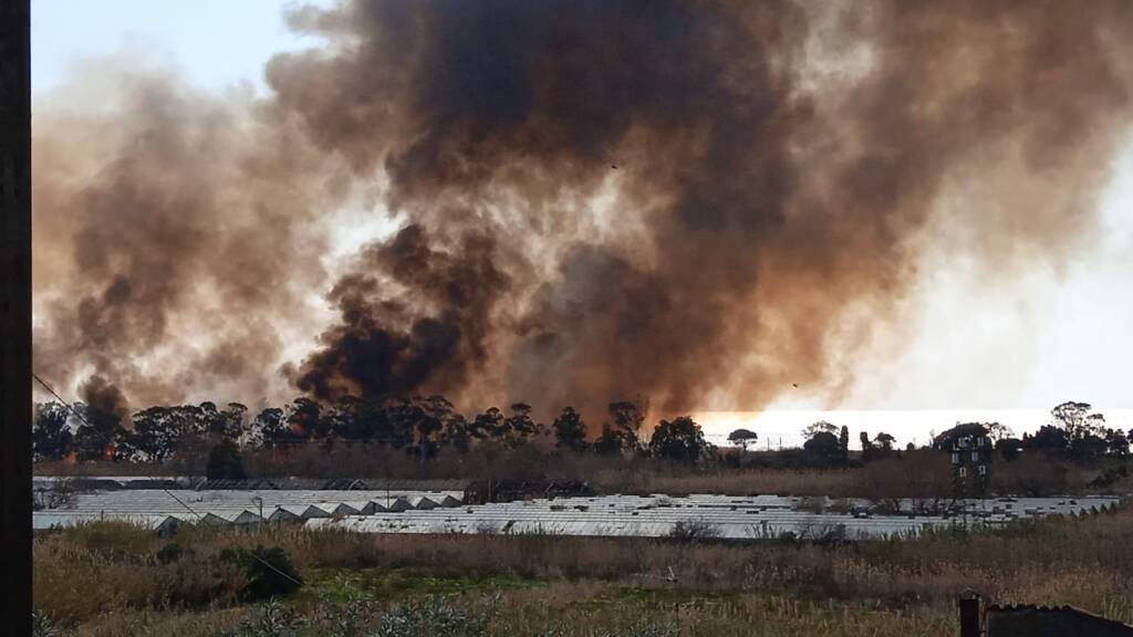 Incendio Pamafi a Maratea: “il solito piromane o è speculazione?”