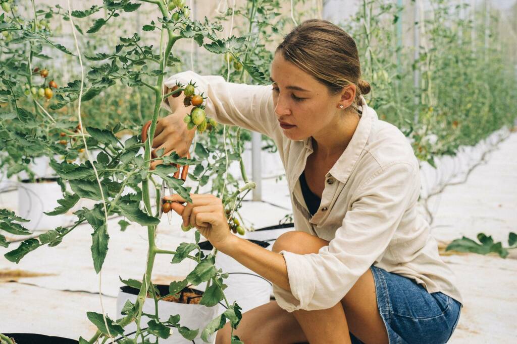 Innovazione, opportunità per i giovani e non solo: 3 progetti formativi per gli imprenditori agricoli