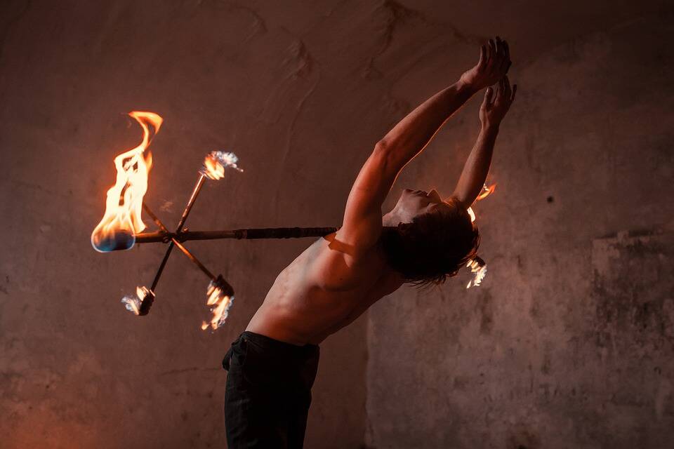 Basilicata. I padroni della cultura