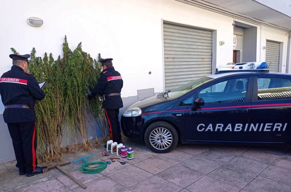 Droga, 25enne arrestato dai carabinieri a Pomarico