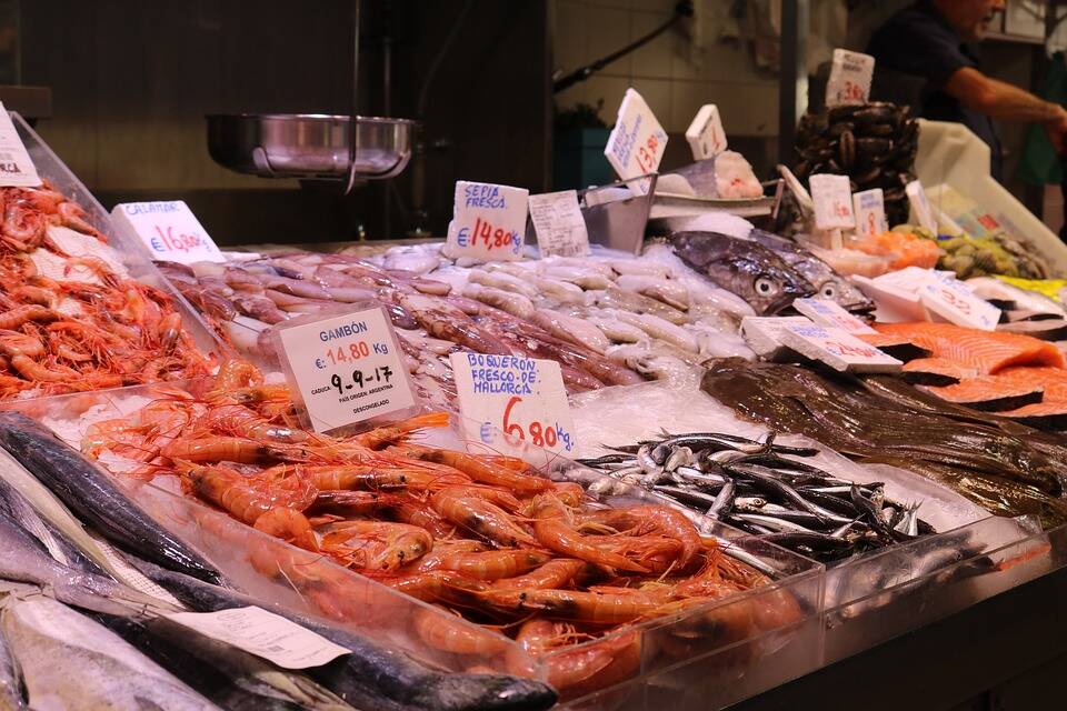 Antibiotici nel cibo, Bassetti: “Uso spropositato in carne e pesce”