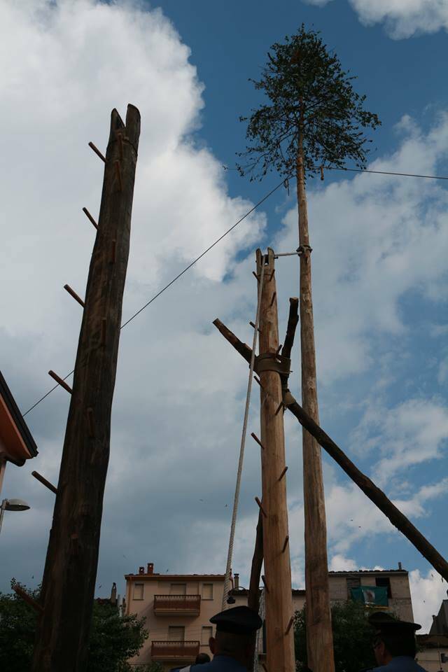 Riti arborei, ad Accettura è il momento di scegliere il Maggio