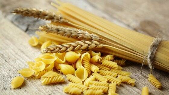 Una petizione per tutelare grano e pasta italiani