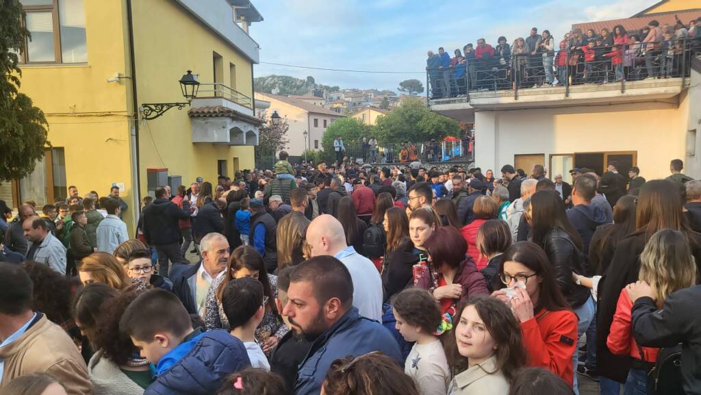 Rotonda, con il taglio della “Pitu” inizia il rito arboreo per Sant’Antonio da Padova