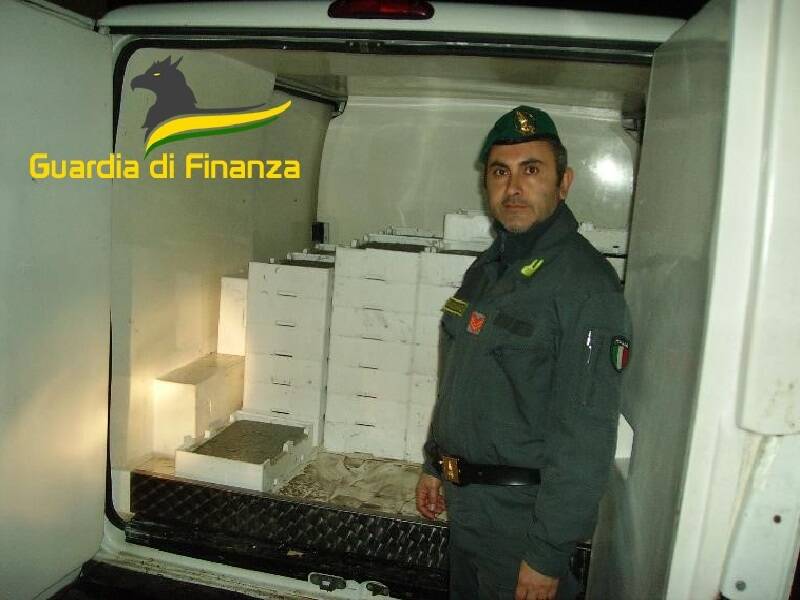 Guardia di Finanza di Matera sequestra due tonnellate di novellame