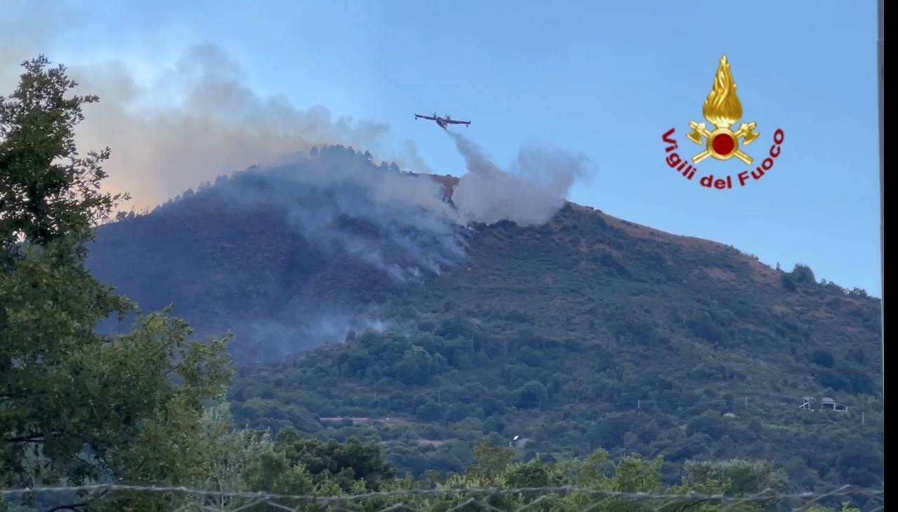 Incendio sul Pollino: bruciati 30 ettari di bosco