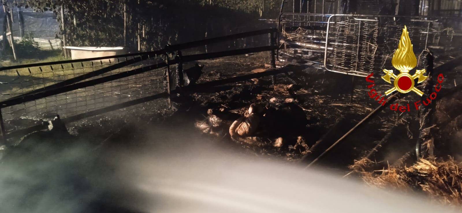 Montalbano Jonico, fiamme intorno a fattoria: morti animali