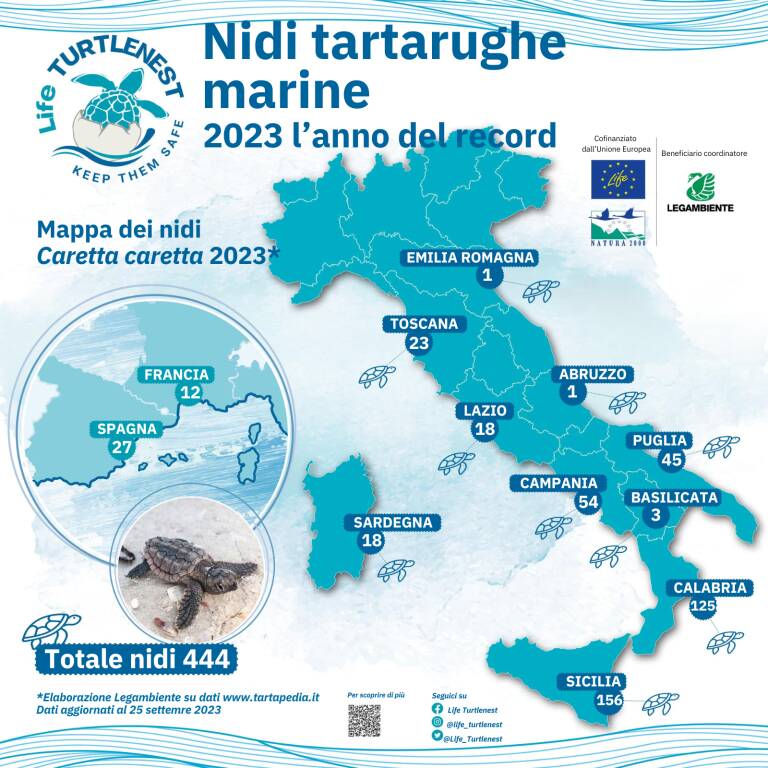 Tartarughe marine, nidi in Basilicata: il 2023 è l’anno dei record in Italia