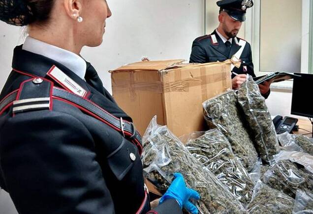 Casalinga riceve ‘per errore’ pacco con 10 chili di marijuana e chiama i carabinieri