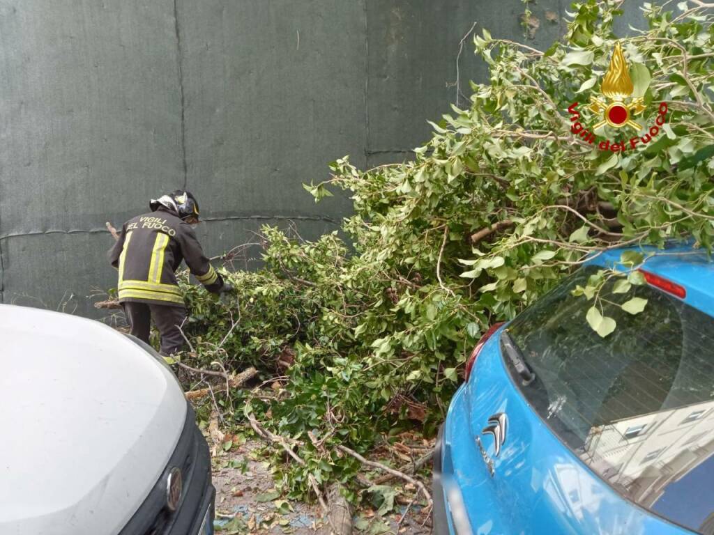 Disagi per il maltempo: molti gli interventi dei Vigili del Fuoco