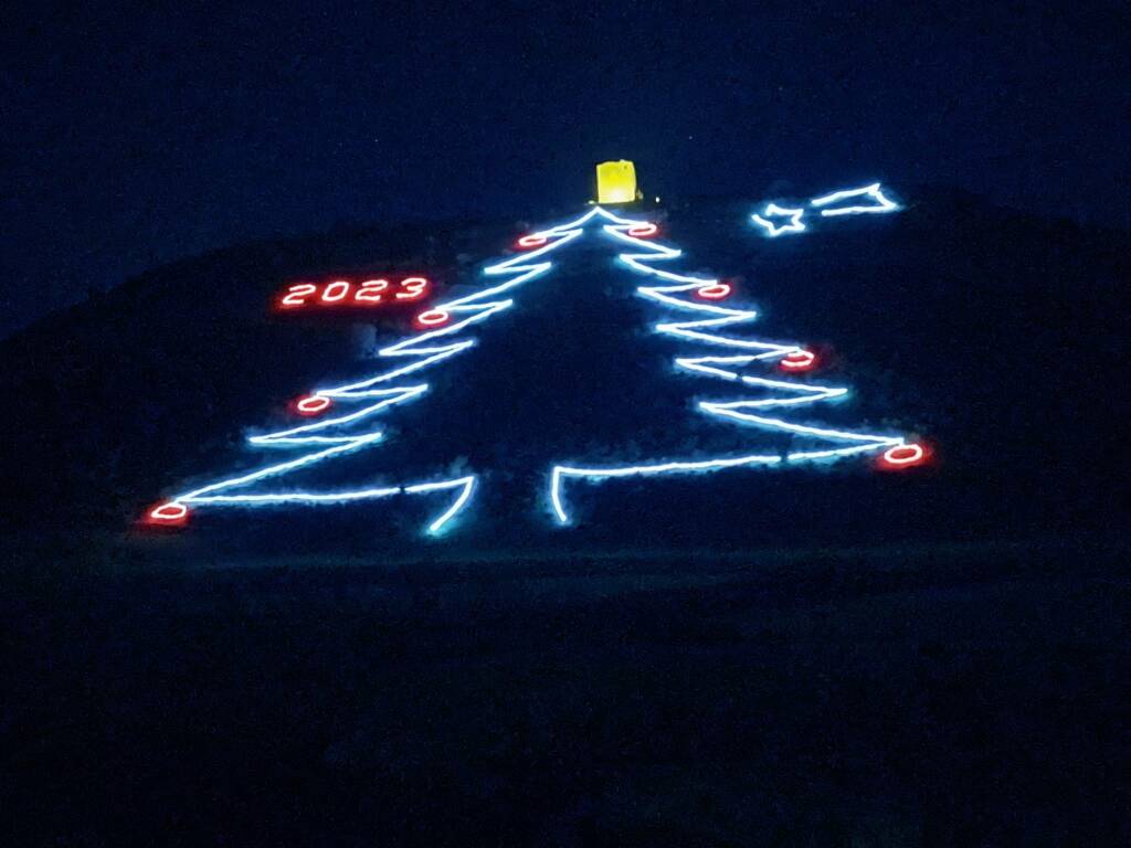 L’albero di Natale più grande della Basilicata torna a illuminarsi