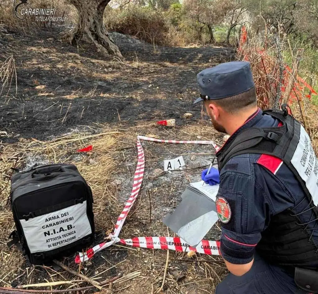 Incendio nel Parco Gallipoli Cognato, denunciato un uomo