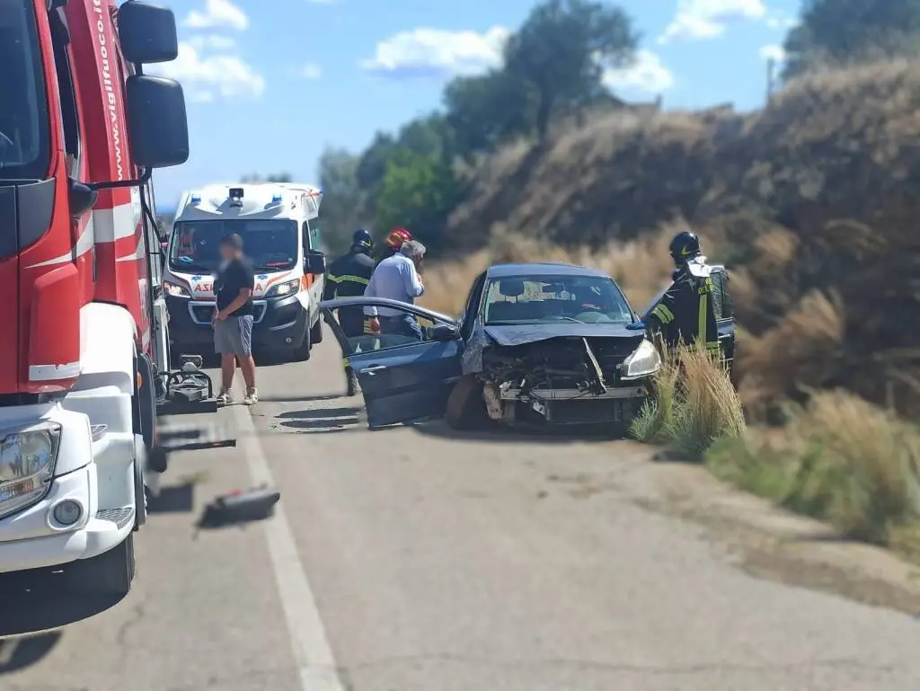 Auto contro cinghiale sulla SP Pisticci-San Basilio, intervenuti carabinieri e 118